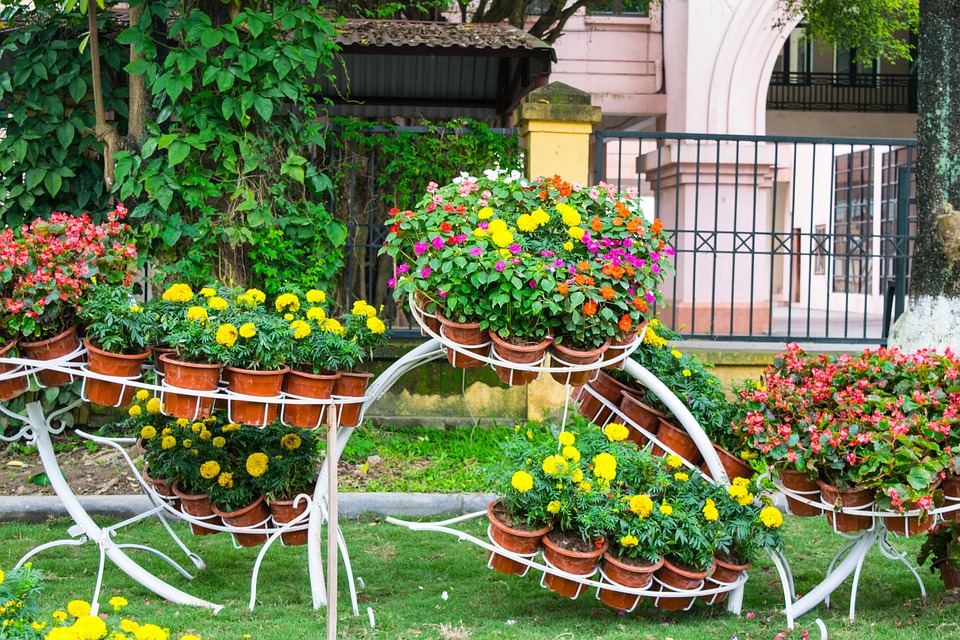 Новосибирск приглашает «всех в сад»