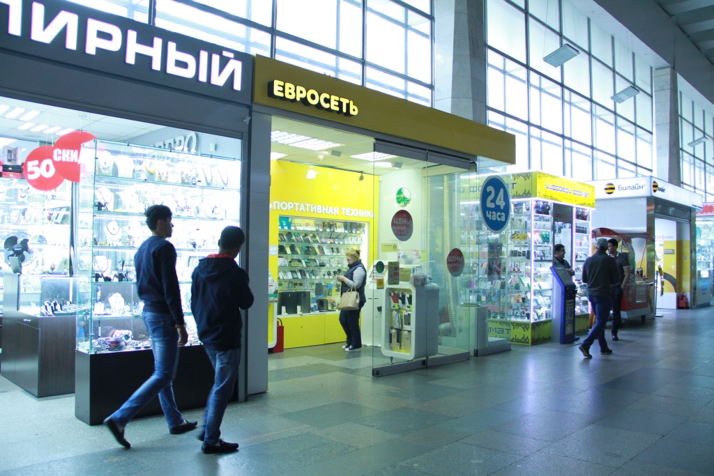Красивые картинки животные скачать