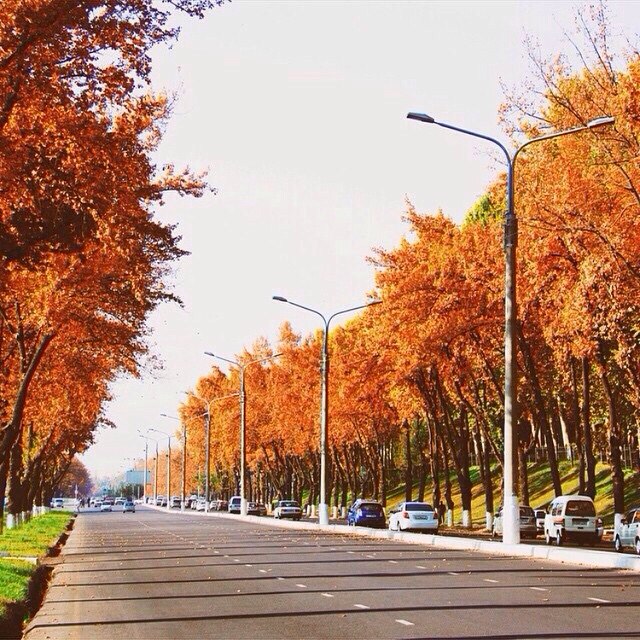 Осень в Ташкенте