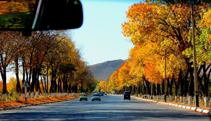 Осень в Ташкенте