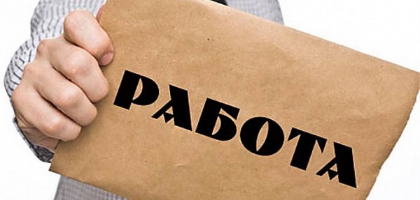 Делегация из РФ организовала в Узбекистане банк легальных вакансий