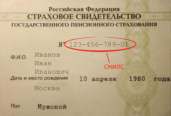 Как получить СНИЛС и зачем он нужен?