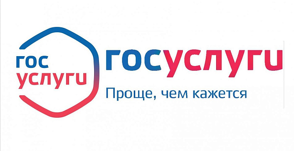 Иностранцы смогут уведомлять власти о прибытии через Госуслуги