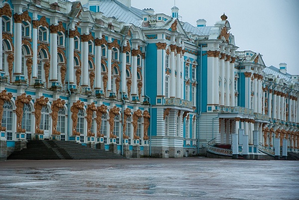 Отчеты по трудоустройству иностранных граждан в Петербурге