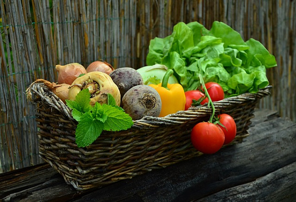В России появится логистический центр для овощей и фруктов из Таджикистана